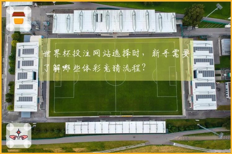 世界杯投注网站选择时，新手需要了解哪些体彩竞猜流程？