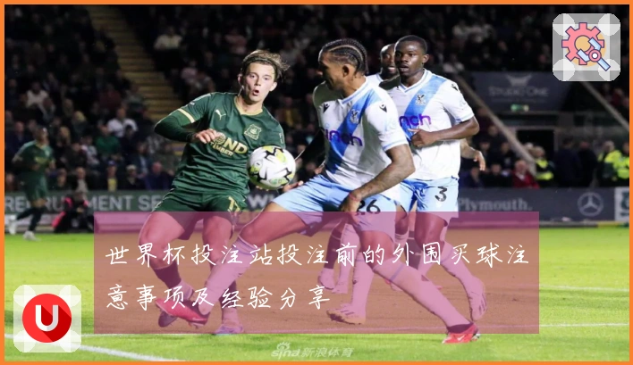 世界杯投注站投注前的外围买球注意事项及经验分享