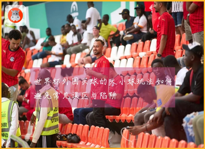 世界杯外围买球的大小球玩法如何避免常见误区与陷阱