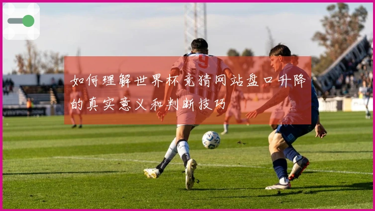 如何理解世界杯竞猜网站盘口升降的真实意义和判断技巧