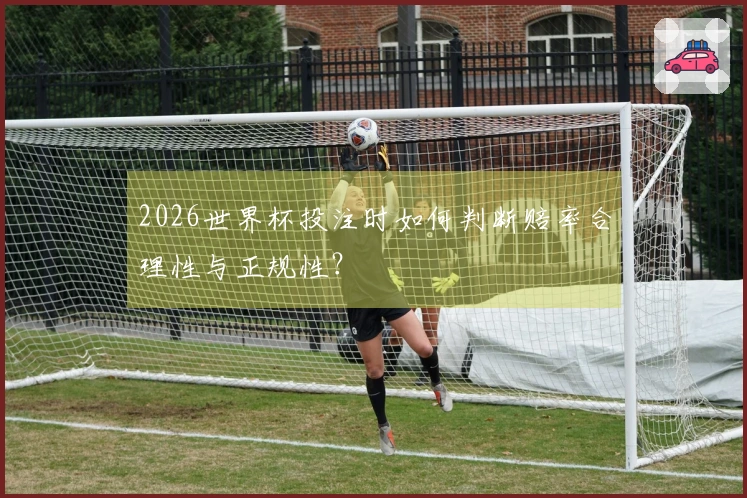 2026世界杯投注时如何判断赔率合理性与正规性？