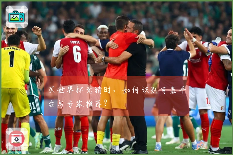 买世界杯竞猜时，如何识别可靠平台与专家推荐？