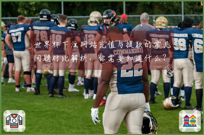 世界杯下注网站充值与提款的常见问题对比解析，你需要知道什么？