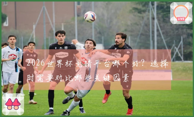 2026世界杯竞猜平台哪个好？选择时需要对比哪些关键因素