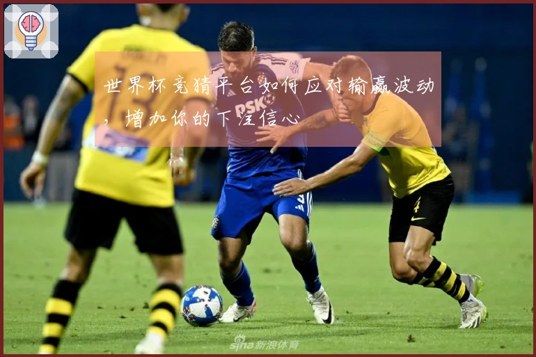 世界杯竞猜平台如何应对输赢波动，增加你的下注信心