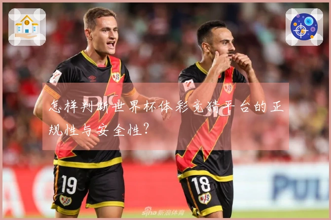 怎样判断世界杯体彩竞猜平台的正规性与安全性？