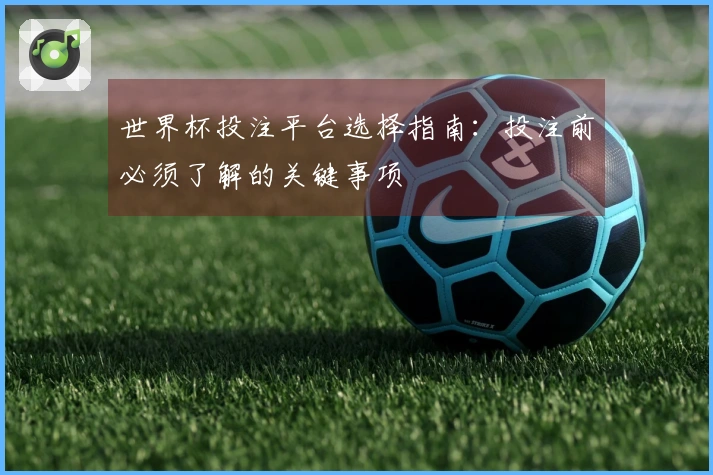 世界杯投注平台选择指南：投注前必须了解的关键事项