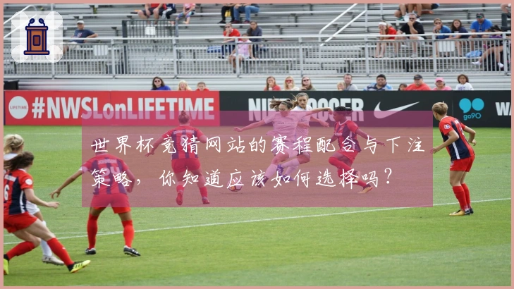 世界杯竞猜网站的赛程配合与下注策略，你知道应该如何选择吗？