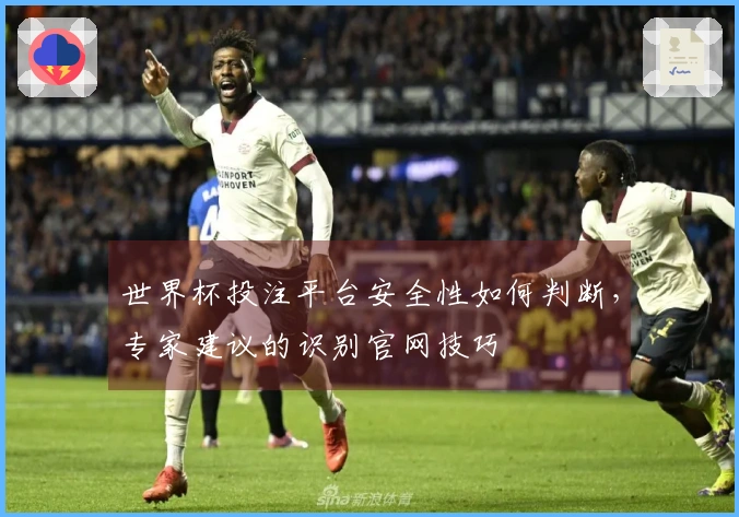 世界杯投注平台安全性如何判断,专家建议的识别官网技巧