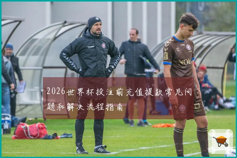 2026世界杯投注前充值提款常见问题和解决流程指南