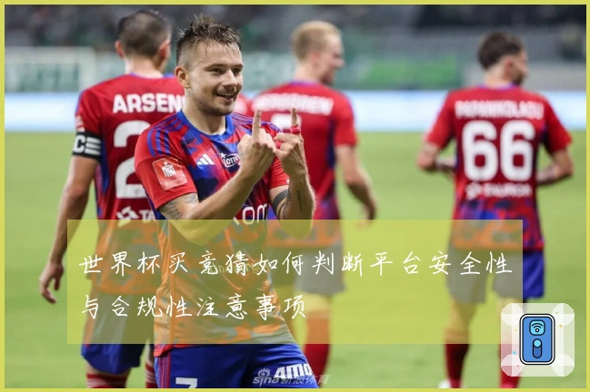 世界杯买竞猜如何判断平台安全性与合规性注意事项