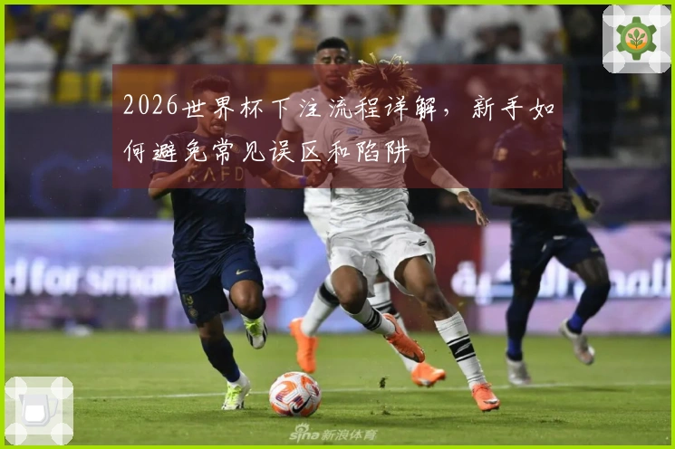 2026世界杯下注流程详解，新手如何避免常见误区和陷阱