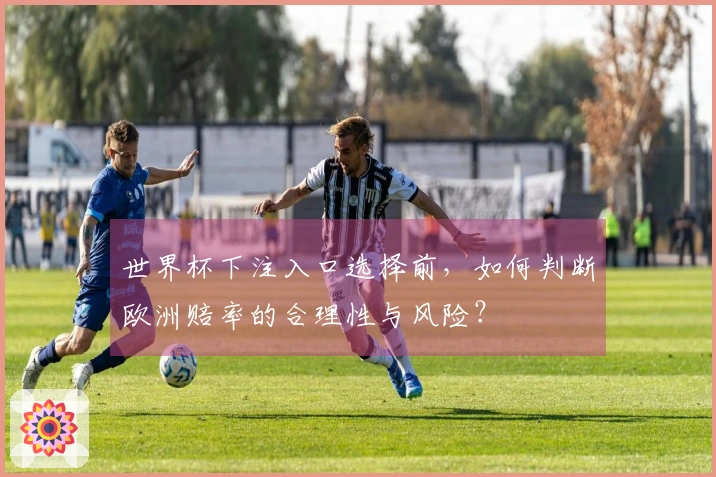 世界杯下注入口选择前，如何判断欧洲赔率的合理性与风险？
