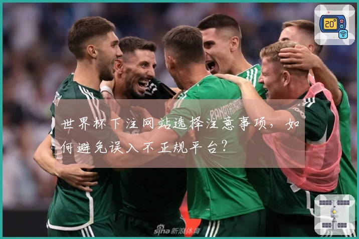 世界杯下注网站选择注意事项，如何避免误入不正规平台？