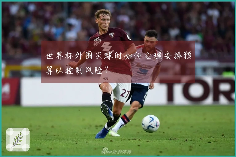 世界杯外围买球时如何合理安排预算以控制风险？