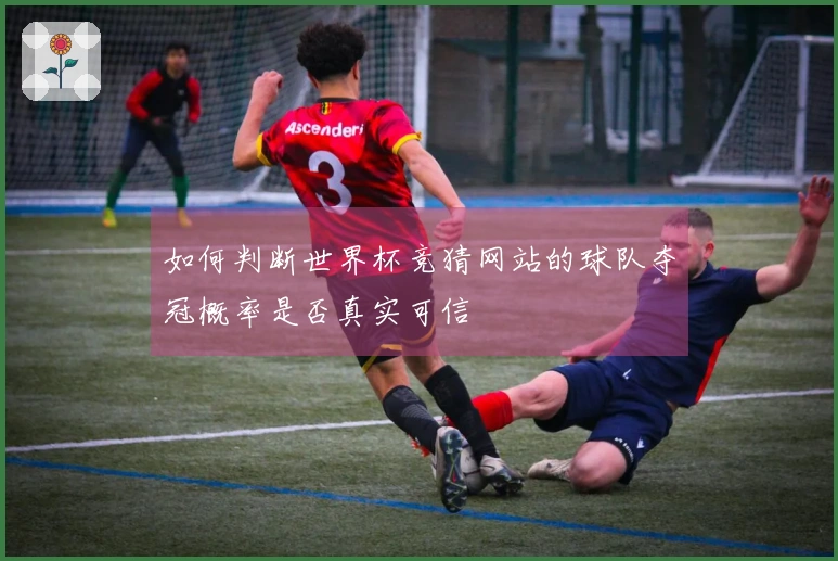 如何判断世界杯竞猜网站的球队夺冠概率是否真实可信