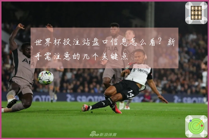 世界杯投注站盘口信息怎么看？新手需注意的几个关键点