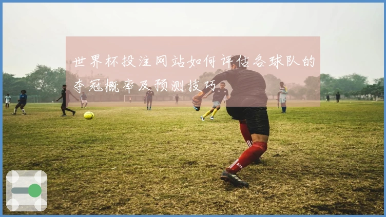 世界杯投注网站如何评估各球队的夺冠概率及预测技巧