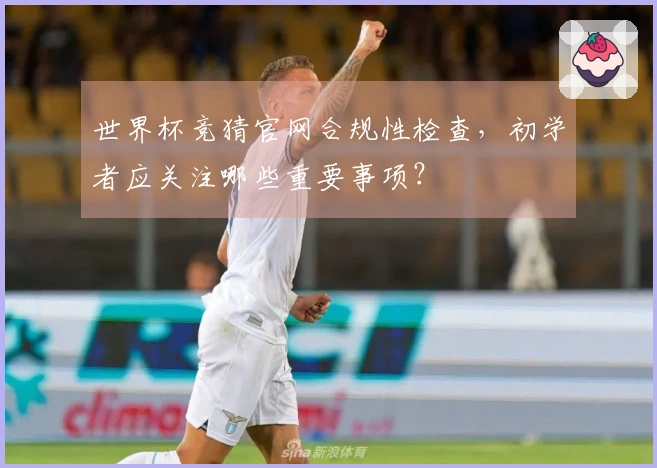世界杯竞猜官网合规性检查，初学者应关注哪些重要事项？
