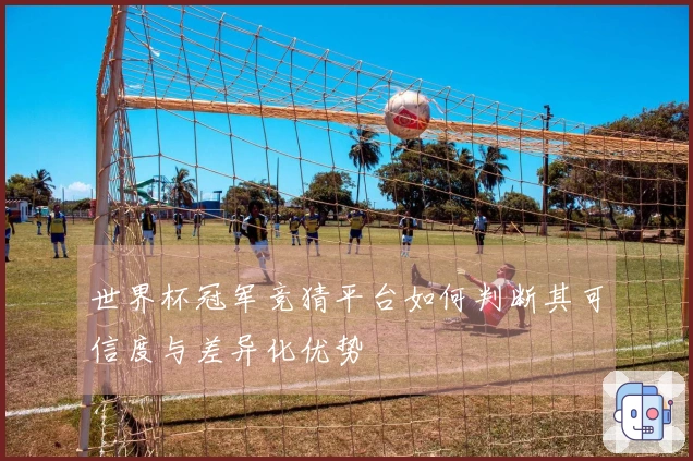 世界杯冠军竞猜平台如何判断其可信度与差异化优势