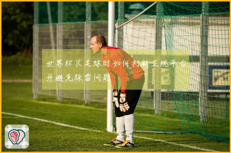 世界杯买足球时如何判断正规平台并避免踩雷问题