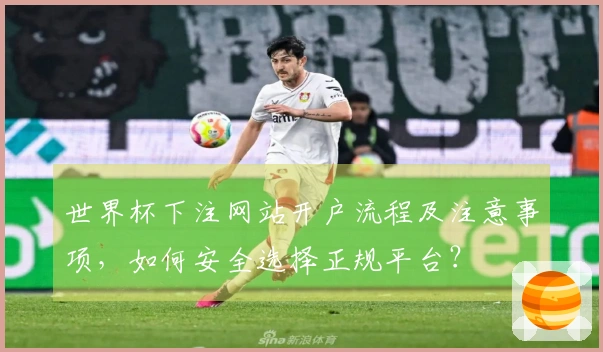 世界杯下注网站开户流程及注意事项，如何安全选择正规平台？