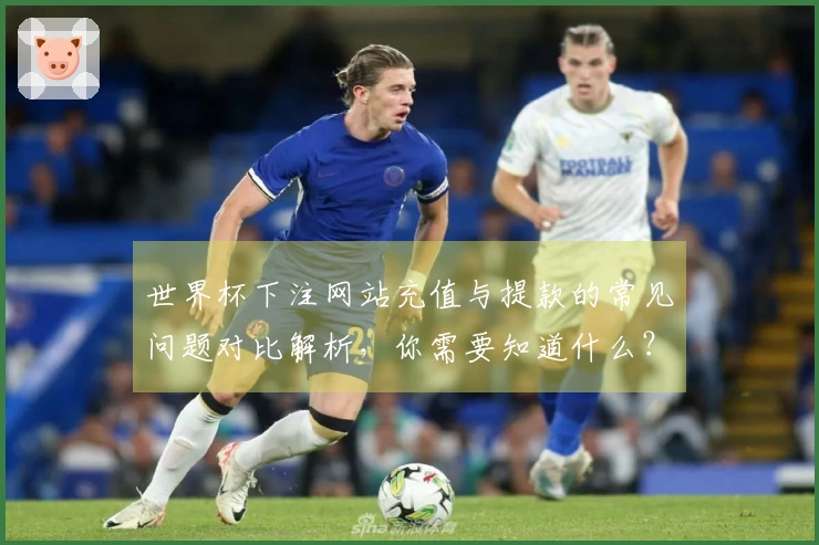 世界杯下注网站充值与提款的常见问题对比解析，你需要知道什么？