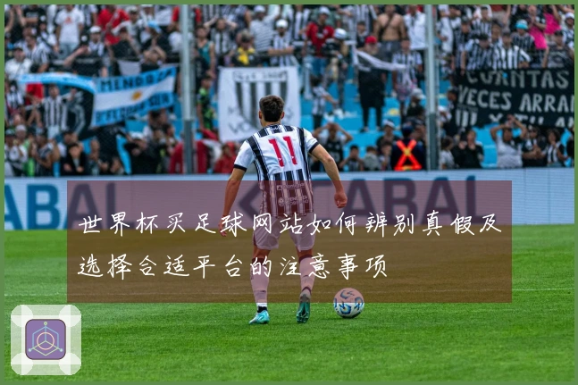世界杯买足球网站如何辨别真假及选择合适平台的注意事项