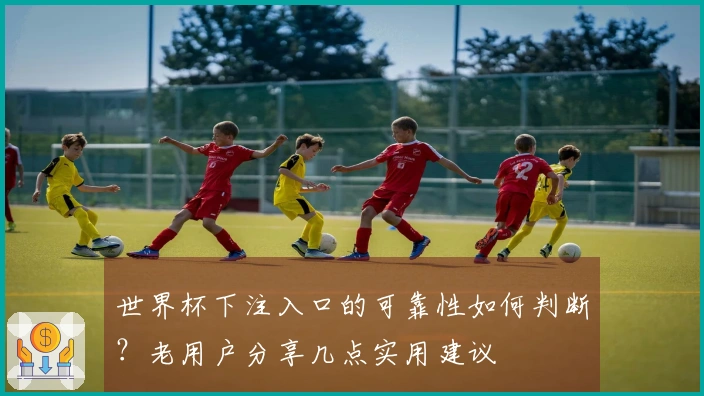 世界杯下注入口的可靠性如何判断？老用户分享几点实用建议