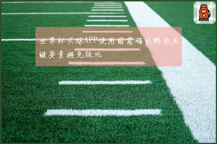 世界杯买球APP使用前需确认哪些关键要素避免踩坑