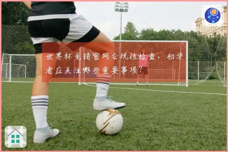 世界杯竞猜官网合规性检查，初学者应关注哪些重要事项？
