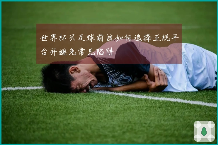 世界杯买足球前该如何选择正规平台并避免常见陷阱