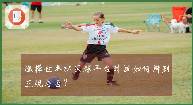 选择世界杯买球平台时该如何辨别正规与否？